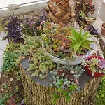 In Okrug Gornji 6132 * تروغير