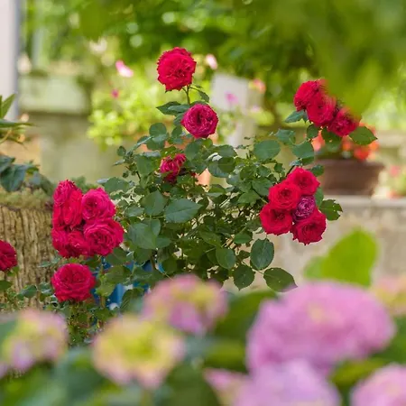 In Okrug Gornji 6132 Apartament *