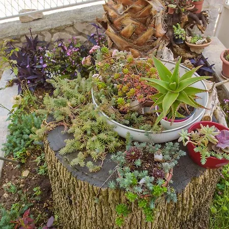 In Okrug Gornji 6132 * Trogir